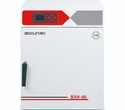 BXH-280 電熱鼓風(fēng)干燥箱